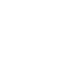 Closing/Settlement Services